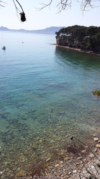Studio 4 Pers Coeur Du Lavandou 5Mn A Pied Des Plages لو لا فاندو المظهر الخارجي الصورة