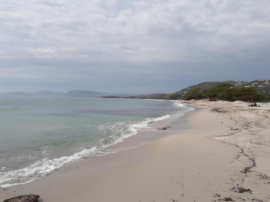 Studio 4 Pers Coeur Du Lavandou 5Mn A Pied Des Plages لو لا فاندو المظهر الخارجي الصورة