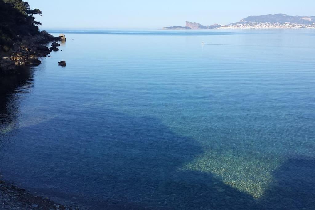 Studio 4 Pers Coeur Du Lavandou 5Mn A Pied Des Plages لو لا فاندو المظهر الخارجي الصورة