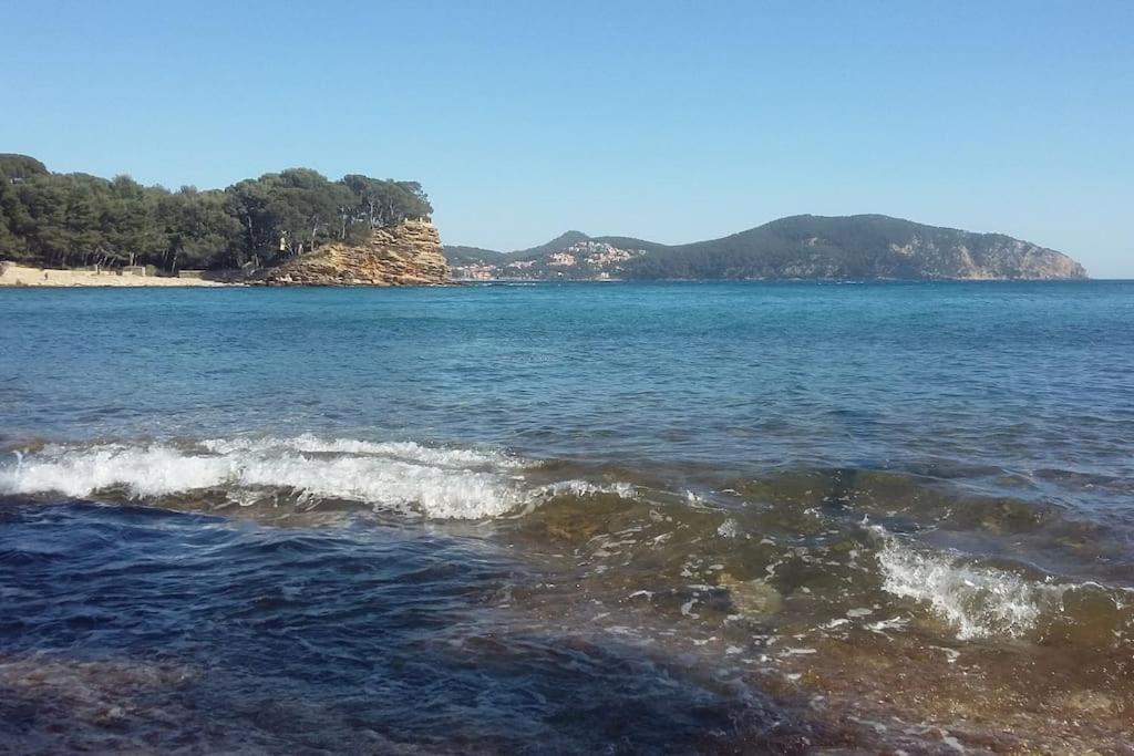 Studio 4 Pers Coeur Du Lavandou 5Mn A Pied Des Plages لو لا فاندو المظهر الخارجي الصورة
